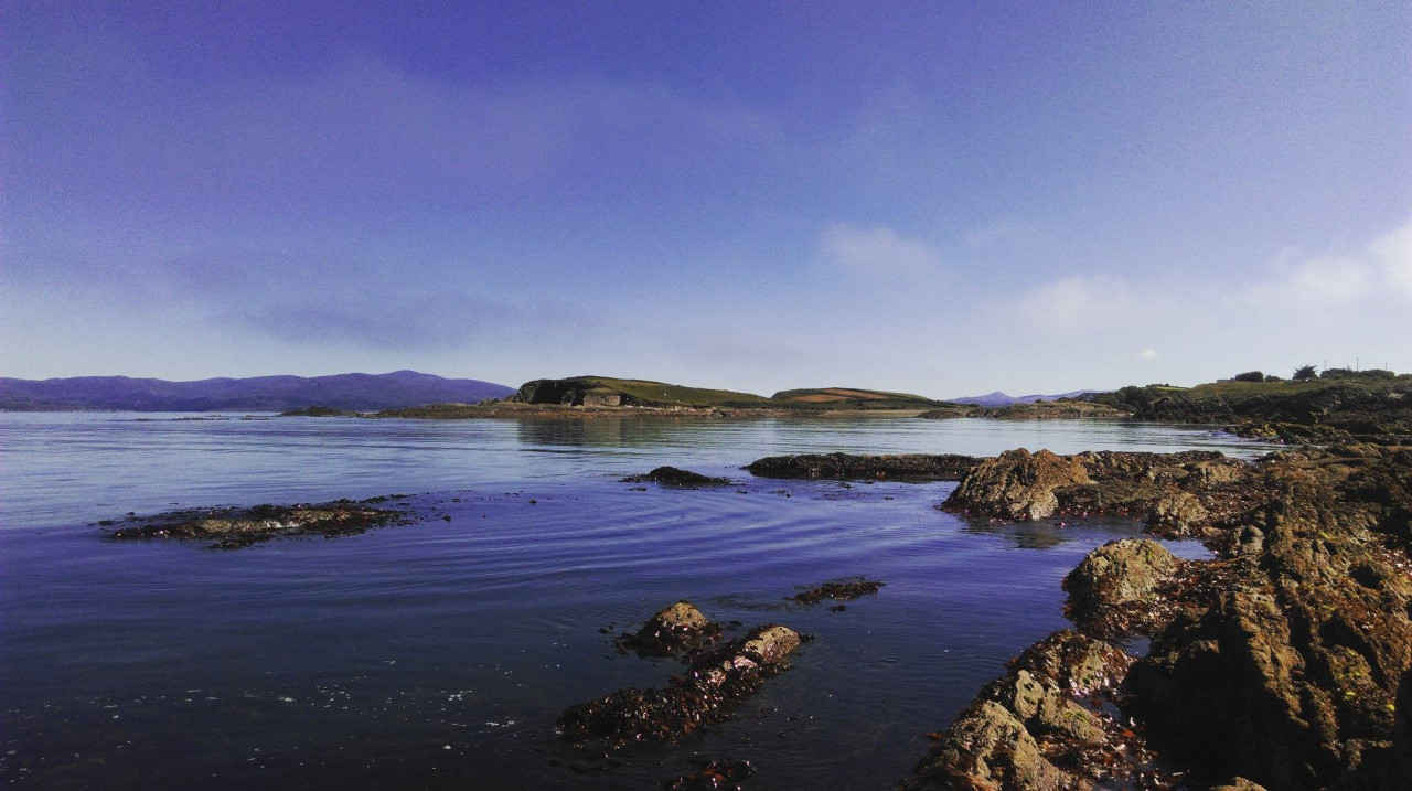 Job Announcement: Seaweed Nursery Technician