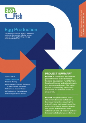 EcoFish Ballan Wrasse Project - Egg Production