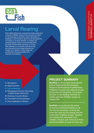 EcoFish Ballan Wrasse Project - Larval Rearing